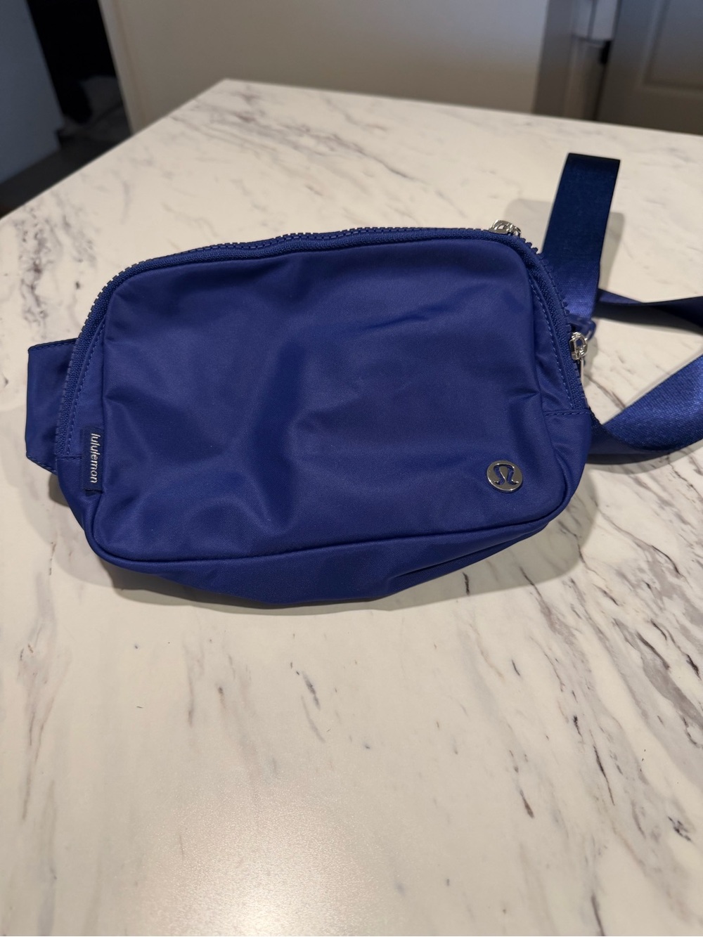 Everywhere Belt Bag Large with Long Strap 2L